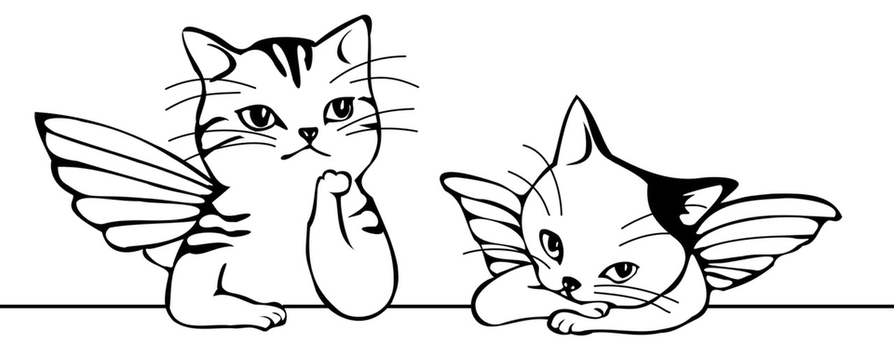 angeli-gatti