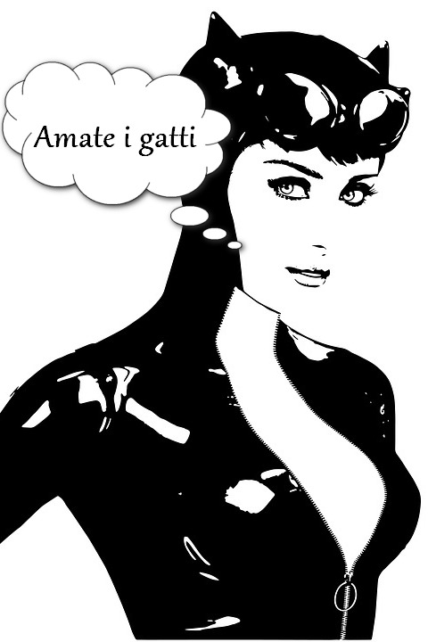gatti-galleria2-dolcifusa4
