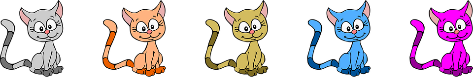 gattini-bolcifusa-it