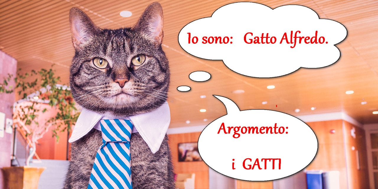 i-gatti-aldredo-dolcifusa-min